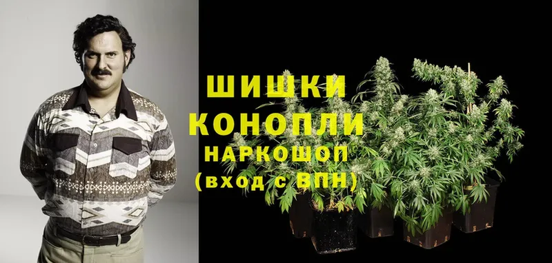 магазин продажи наркотиков  Кинель  Бошки Шишки White Widow 